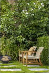 Sedia da giardino in legno di colore beige e naturale Copper - Exotan