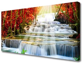 Foto quadro su tela Cascata della foresta naturale 100x50 cm