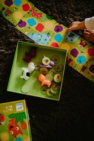 Percorso con gli animali