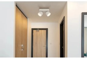 Globo 56961-2S - Faretto LED RAE 2xLED/6W/230V