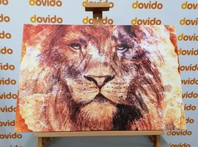 Quadro su tela – Volto del leone