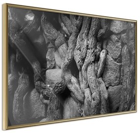 Poster  Strong Roots  Cornice Quadri Cornice d'oro, Larghezza x Altezza Home decor 90x60