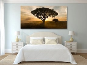 Quadro su tela – Elefante all'alba