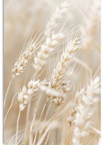 Quadro su tela – Steli di grano