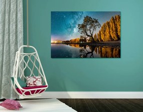 Quadro su tela – Albero sotto il cielo stellato