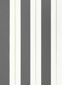 Osborne & Little Carta da parati Bramante Stripe - Charcoal