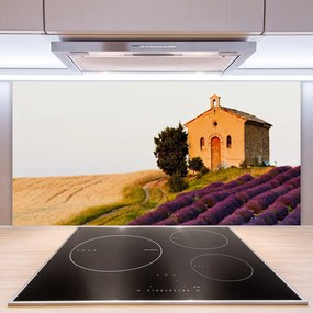 Pannello paraschizzi cucina Campo del paesaggio 100x50 cm