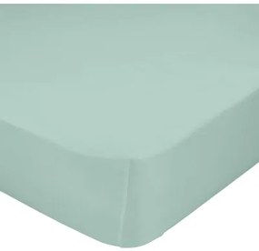 Lenzuolo con angoli HappyFriday BASIC KIDS Menta 60 x 120 x 14 cm