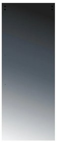 Anta per porta scorrevole esterno muro Reflective in vetro fumé, L 96 x H 215 cm spessore 10 mm, apertura sinistra