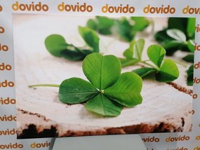 Quadro su tela – Quadrifogli verdi