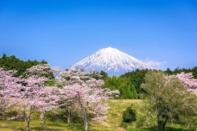 Carta da parati autoadesiva – Vulcano Fuji