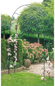 Arco per piante rampicanti - Garden Pleasure