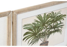 Quadro DKD Home Decor Palme Tropicale (65 x 2 x 50 cm) (4 Unità)