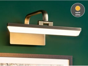 Paulmann 95568 - Lampada per quadri LED 6W RENAN 230V 30 cm ottone