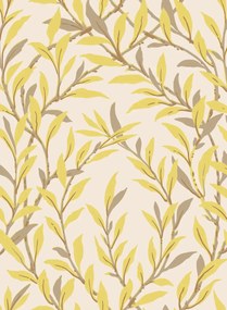 Cole & Son Tapete Willow Branch - Citrine & Mocha on Stone