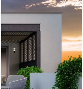 Redo 90204 - Applique da esterno TRITON 1xE27/28W/230V IP54 nero