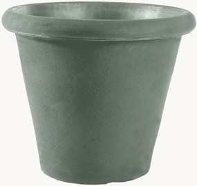 Portavaso Camelia