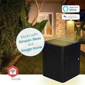 Nedis ZBLOW10RGBW - Lampada LED RGBW dimmerabile da esterno, 12W, 230V, IP65, Wi-Fi Tuya, nera