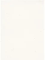 Terrastone Rustique floor - 15kg - 36 - bianco di carrara - 15 kg