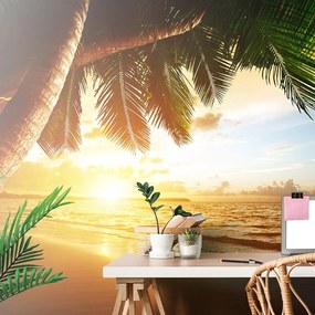 Carta da parati – Alba su spiaggia caraibica