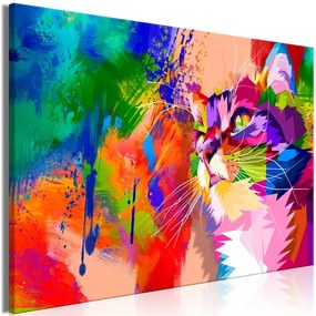 Quadro  Colourful Cat (1 Part) Wide  Colore colorful, Dimensioni e Misure 120x80