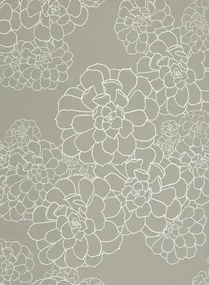 Paint & Paper Library Carta da parati Aeonium - Steel