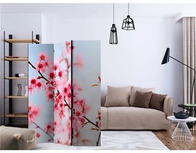 Paravento  Symbol of Japan  sakura flowers [Room Dividers]  Colore ---, Dimensioni e Misure 135x172