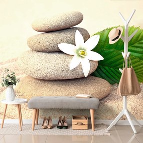 Carta da parati – Fiore bianco e pietre nella sabbia