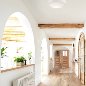 Lampada da soffitto 1xE27/60W/230V