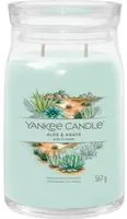 Aloe & Agave, candela giara grande Yankee Candle