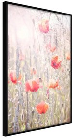 Poster  Poppies  Cornice Quadri Cornice nera, Larghezza x Altezza Home decor 30x45