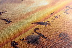 Stampa su tela – Cigni sul mare
