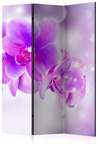 Paravento Orchidee viola (3-parti) - semplice composizione in fiori di lilla