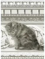 Cole & Son Carta da parati Paddy & Louis - Grey/ White