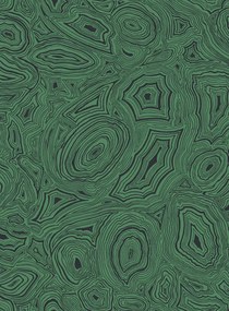 Cole & Son Carta da parati Malachite - Emerald and Black
