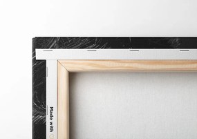 Quadro su tela – Spiaggia Anse Source in bianco e nero