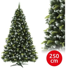 Albero di Natale in pino, alto 250 cm