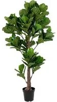 Pianta Artificiale Ficus Lyrata, Verde, Polietilene, 81x93x190 cm, EPIKASA