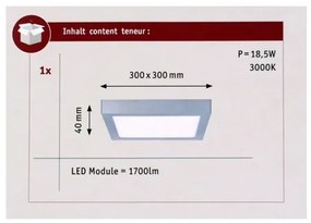 Paulmann 70650 - LED/17W Plafoniera LUNAR 230V