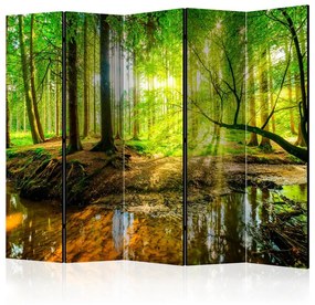 Paravento Forest Stream II [Room Dividers]