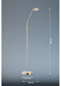 Lampada da terra a LED dimmerabile in oro (altezza 150 cm) Dent - Fischer &amp; Honsel