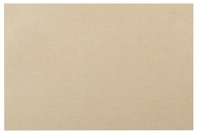 Tovaglietta segnaposto beige in plastica 30x45 cm