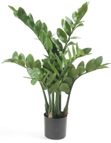 Zamioculcas Artificiale 70 Cm /
