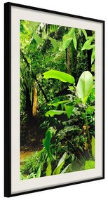 Poster  In the Rainforest  Cornice Quadri Cornice nera con pass-partout, Larghezza x Altezza Home decor 20x30