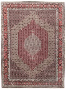 Senneh Tappeto 250x330 (Iran) Annodato A Mano