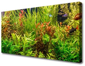 Quadro su tela Acquario, pesci, piante 100x50 cm