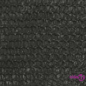 vidaXL Vela Parasole 160 g/m² Antracite 4x4 m in HDPE