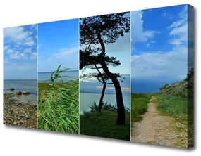 Stampa quadro su tela Paesaggio dell'albero della spiaggia 100x50 cm