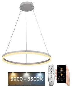 Brilagi - Lampadario a sospensione con filo LED dimmerabile CIRCLE LED/42W/230V 3000-6500K + +TC