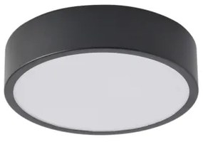 Brilagi - Plafoniera LED POOL, 18 W, 230 V, 3000/4500/6000 K, Ø 20 cm, nera